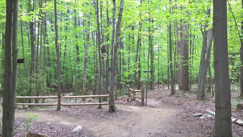 Entrance to the Bear Trail near the Green Chair.