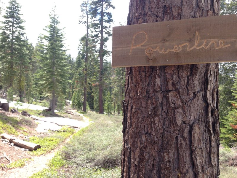 Great Trail Race Elite Course