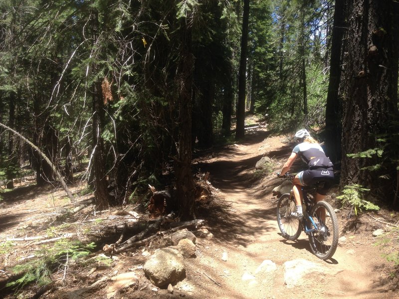 Western States (aka Tevis Trail)
