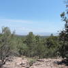 A typical vista from the ride. Tree cover obscures some viewpoints.