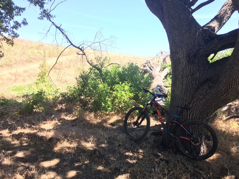 Vista Loop Trail