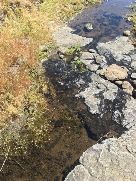 Eight Mile Alternate Trail