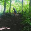 A rooty descent on Osler Side Trail.