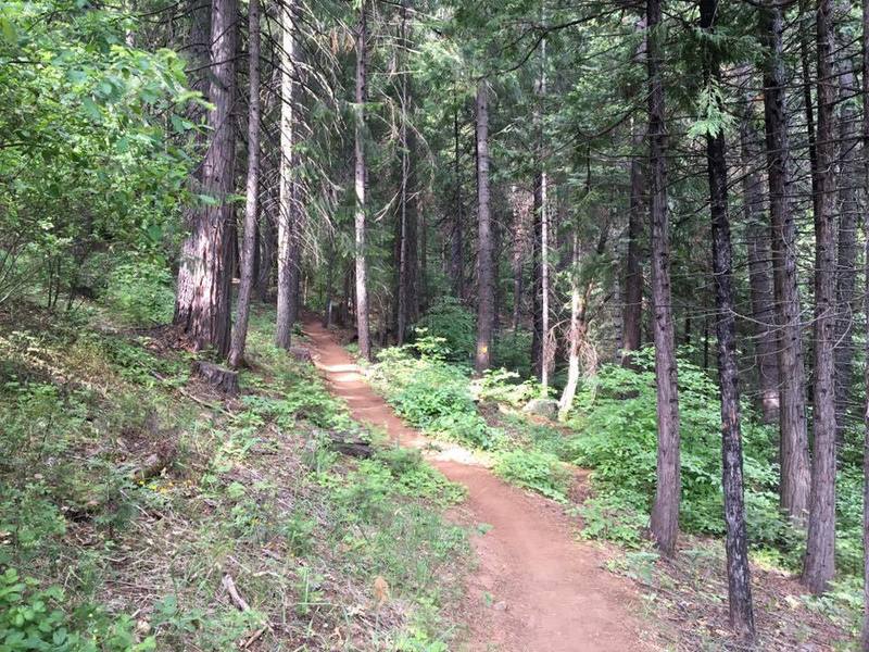 Arnold Rim Trail Short Loop Mountain Bike Trail, Arnold, California