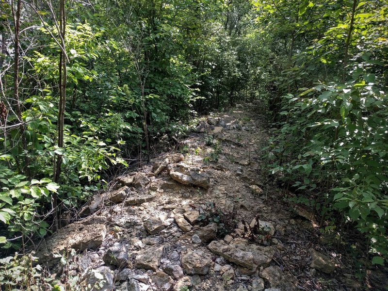 Challenging rocky section of the Rubble Ridge Trail at Lehigh Portland ...