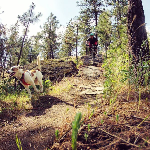 rabbit hill bike park