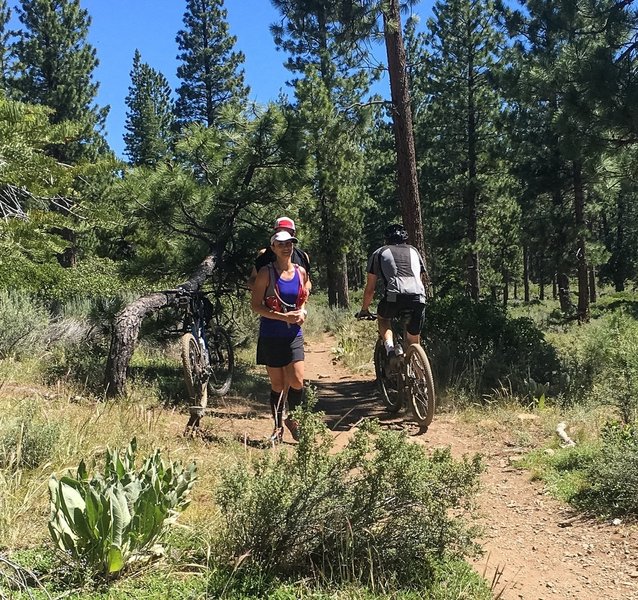 This trail is also popular with hikers and runners especially on the weekends. Please remember who yields to who.