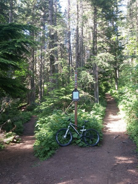 Mount Spokane Loop