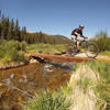 Crossing Tarryall Creek