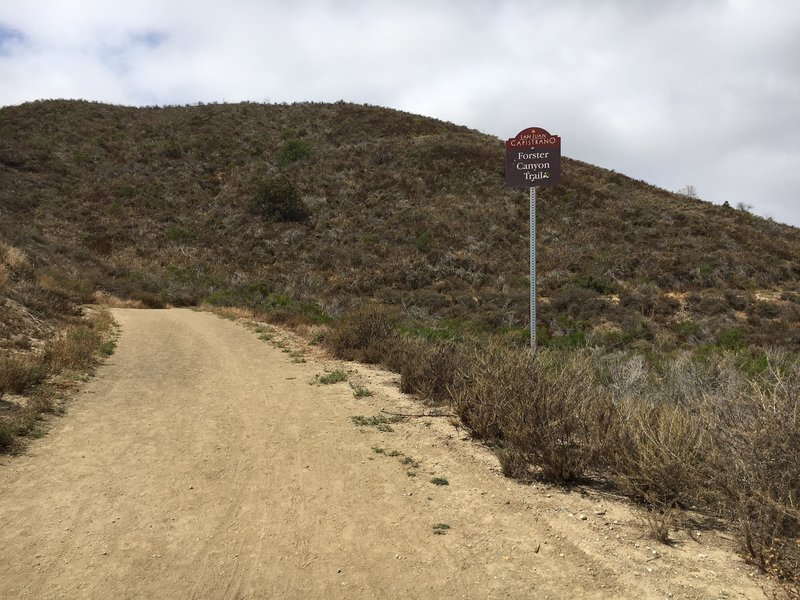 Flagpole Hill