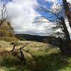 Highly recommended when the hills are green after the first couple of rains in the fall or in the spring.