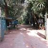 Entrance to Sigiria Forest from Thigiri Ridge.