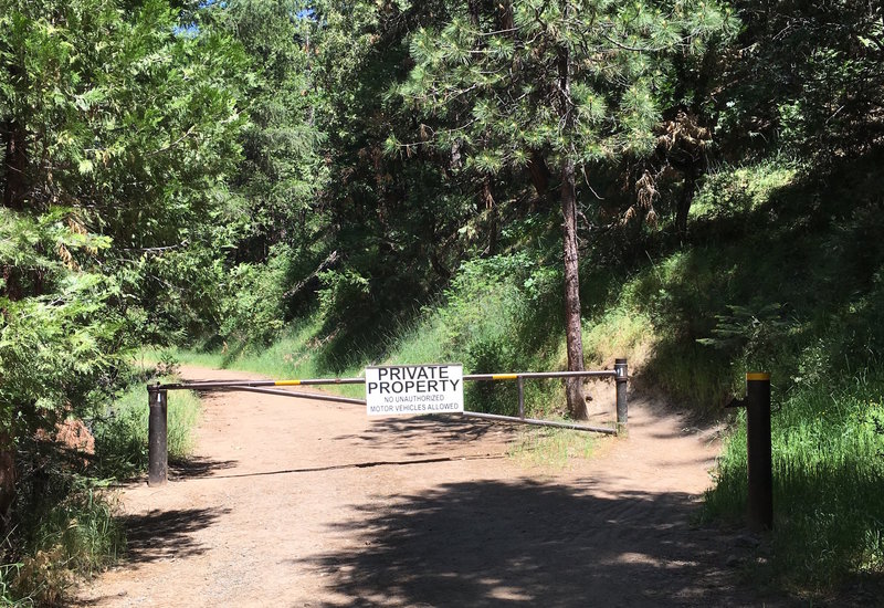 Sugar Pine Rail Trail: Twain Harte to Lyons Reservoir