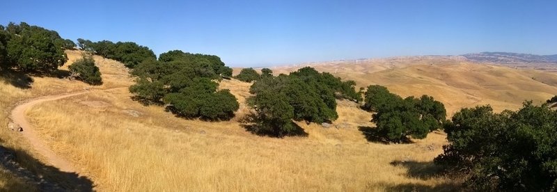 From the top of the singletrack looking south over Livermore.