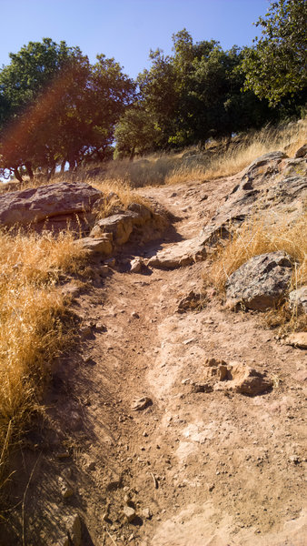 Looking up at the start of the descent.
