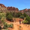 Riding out the wash of South Draw in Capitol Reef National Park