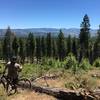 Emigrant Trail, Tahoe National Forest.