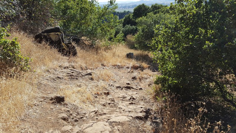 Buckeye Trail