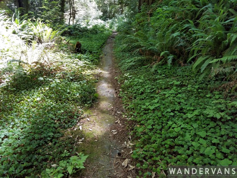 California Coastal Trail: Last Chance