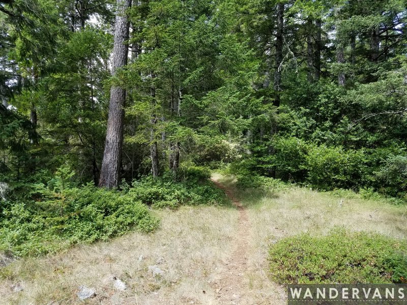 Little Bald Hills Trail #1E03