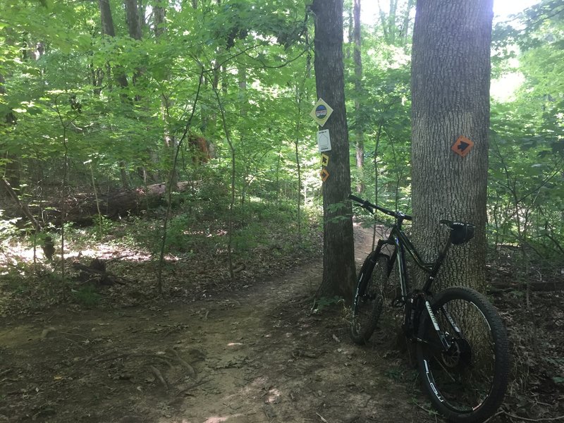 cane ridge mountain bike trail