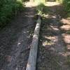 The pole separates the trail for about 20' of the total 60' the trails touch.  Stay left each time you pass by..