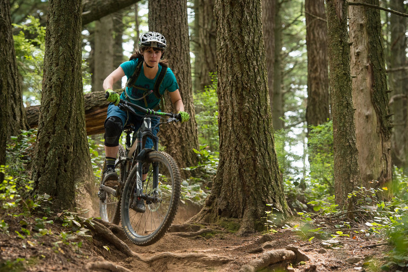 Becca heads in on a steep root section on upper Double Diamond Trail.