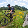 On the Game Creek singletrack in mid-summer.