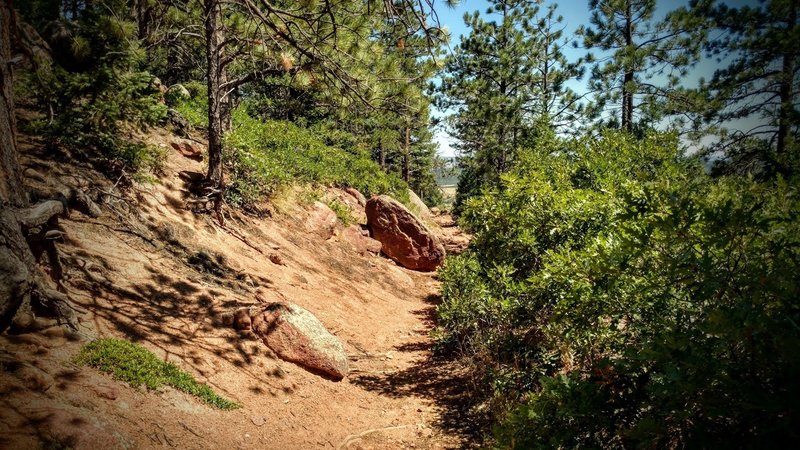 boulder trail mid wp