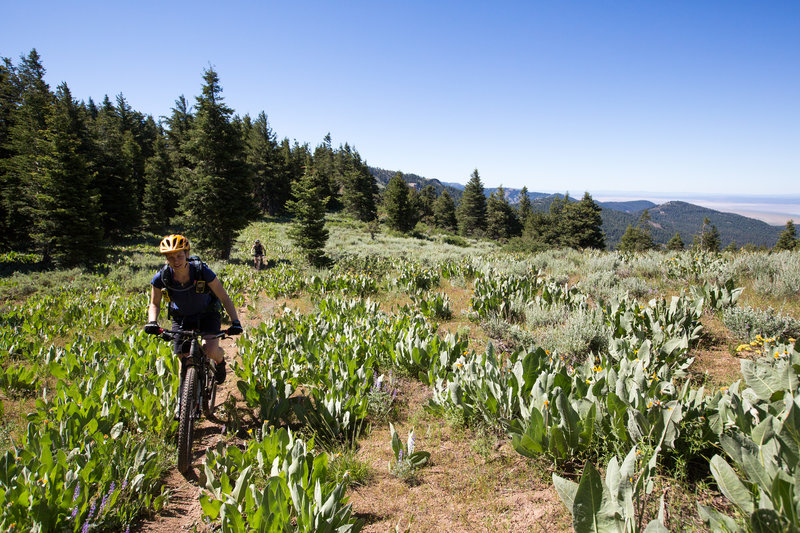 Oregon Timber Trail (OTT): Segment 1 - Basin and Range