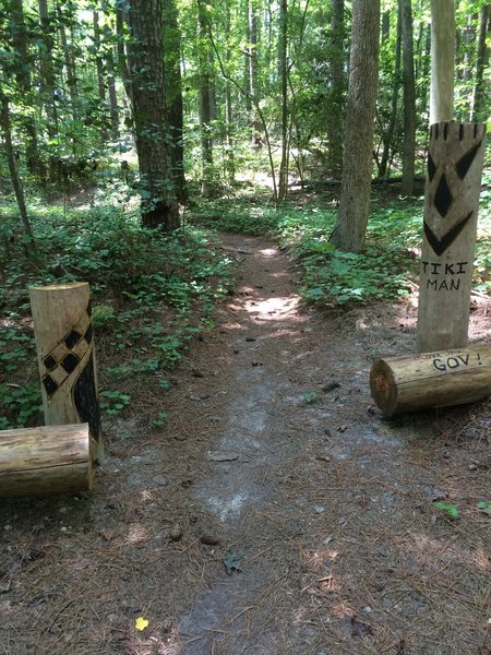 Governors creek mtb trail Clearance