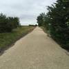 The trail surface is great, check it out!