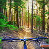 Endless trails in OR...