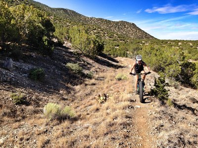 sandia peak mountain biking