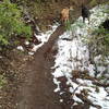 Bogus has snow heading up the Deer Point Trail (91).