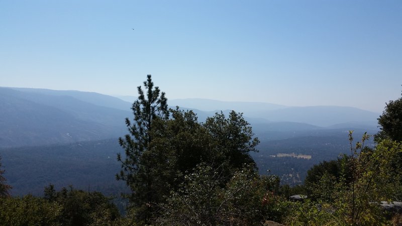 View from the top from the lookout tower.