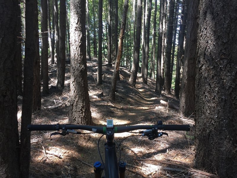 Fun ride. Watch for bugs...