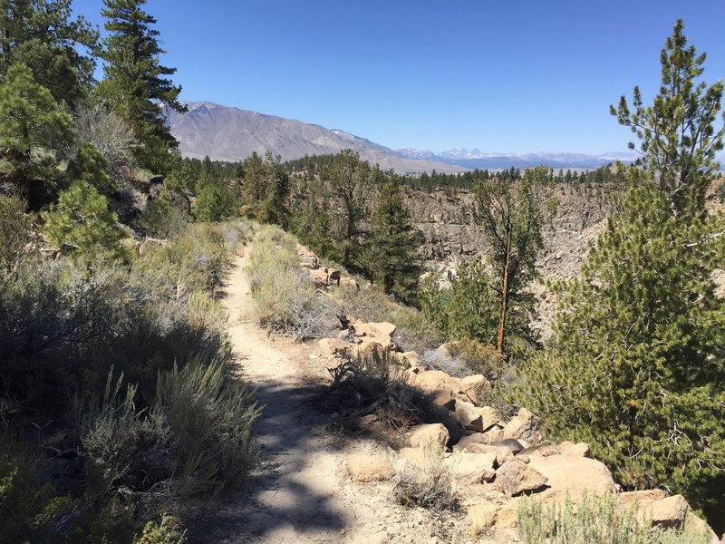 Owens Gorge Singletrack