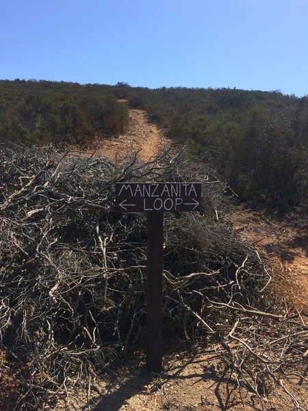 Manzanita Loop