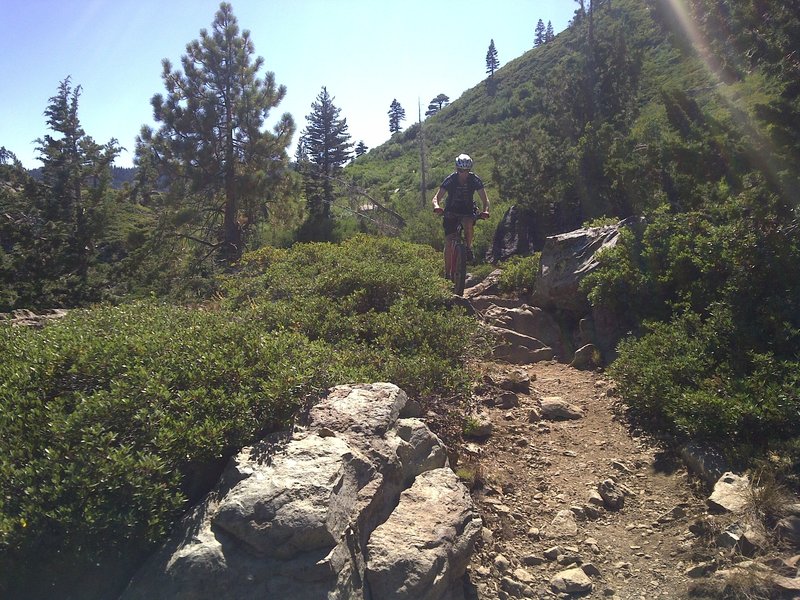 Long Lake Trail