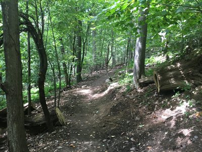 Mountain Bike Trails Near Deep Creek Lake State Park