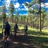 Riding the loop!