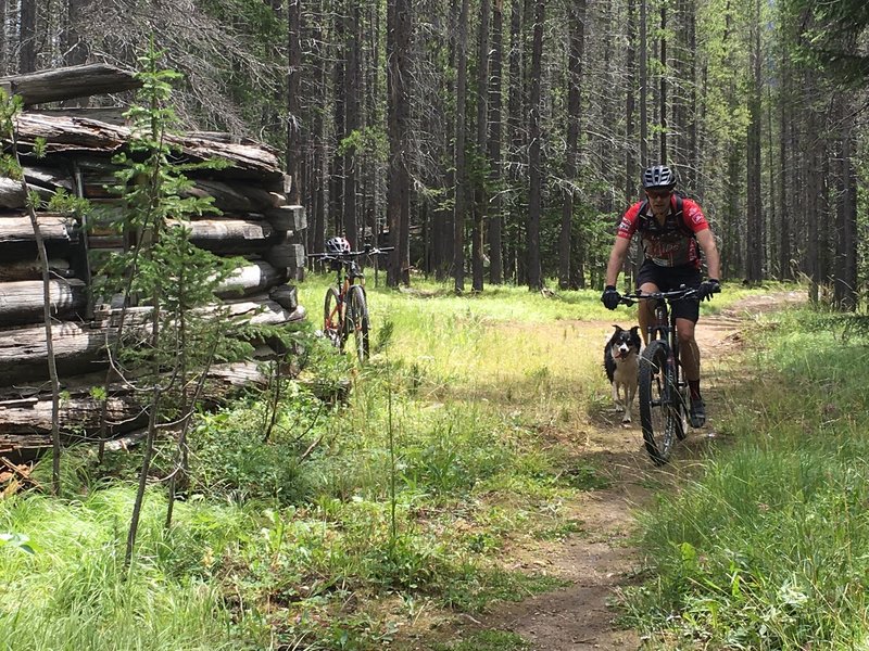 anaconda bike helmets