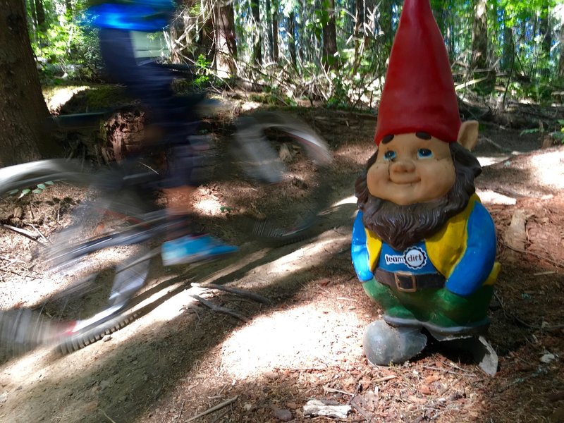 Gnomies on the trail!