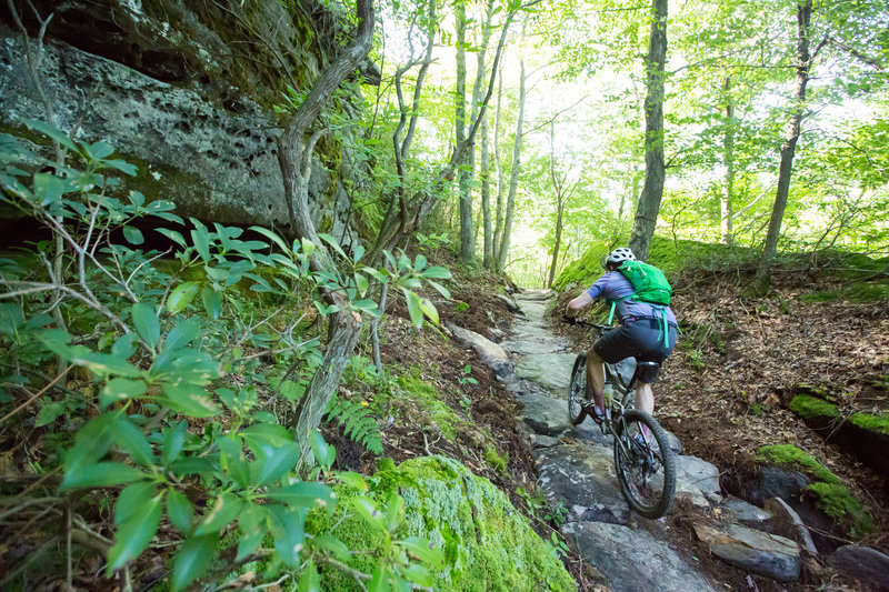 jake mountain loop trail