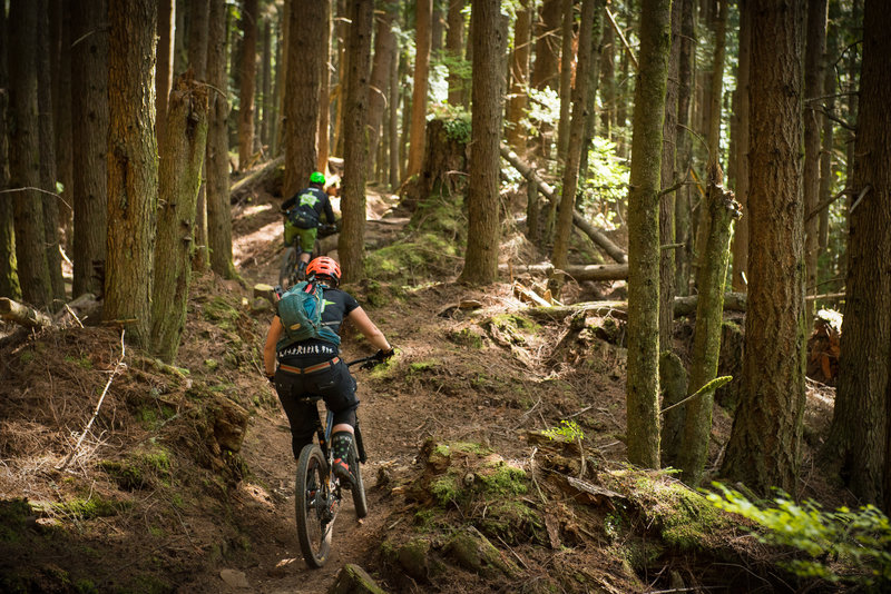 Erin and Lee checking out the goods on Raptor Ridge.