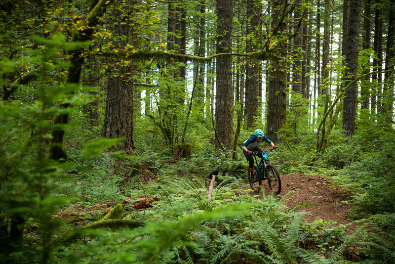 lacamas lake mountain bike trail