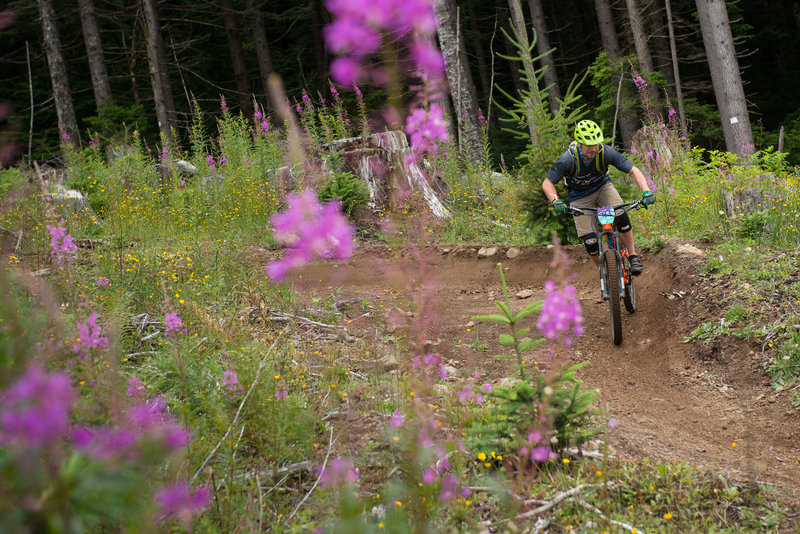 Jason Ding rides the berms in the clearcut of the Cold Creek Trail.