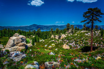 mountain bike trails big bear