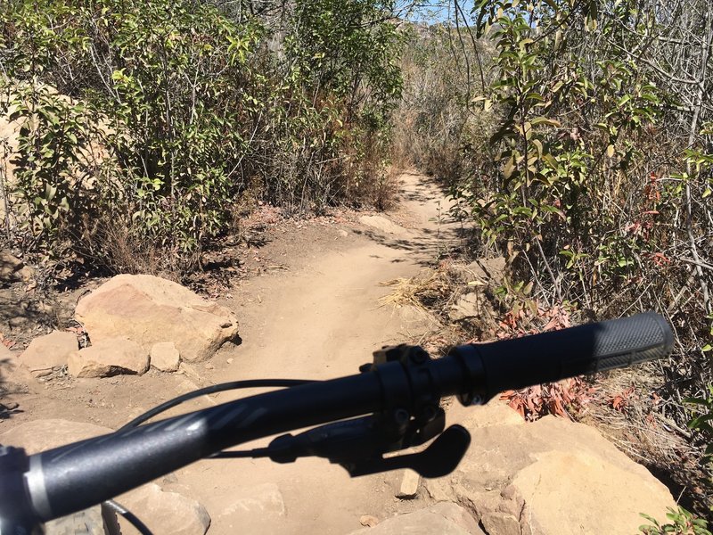 Camarillo Canyon Trail